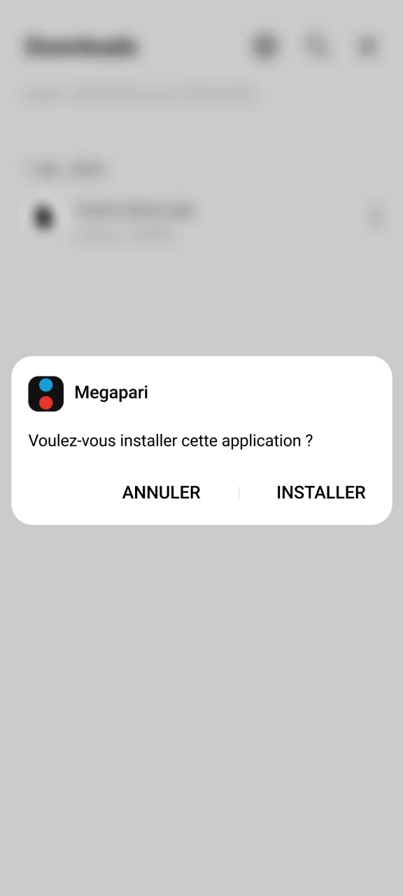 Installez le fichier APK Megapari téléchargé.